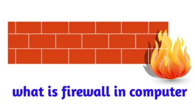 What is Firewall, फायरवॉल क्या है, Types of Firewalls in Hindi