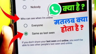 Who Can See When I am Online Meaning in Hindi