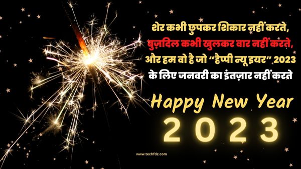 Happy New Year 2023 Shayari, New Year Wishes 2023 in Hindi