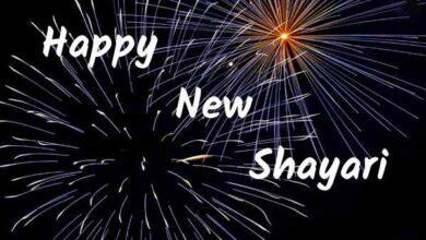 happy new year 2023 shayari in hindi